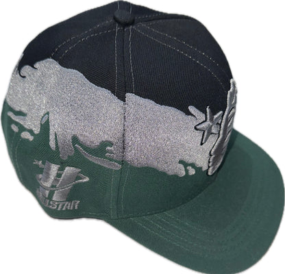 HS Paintbrush SnapBack Hat