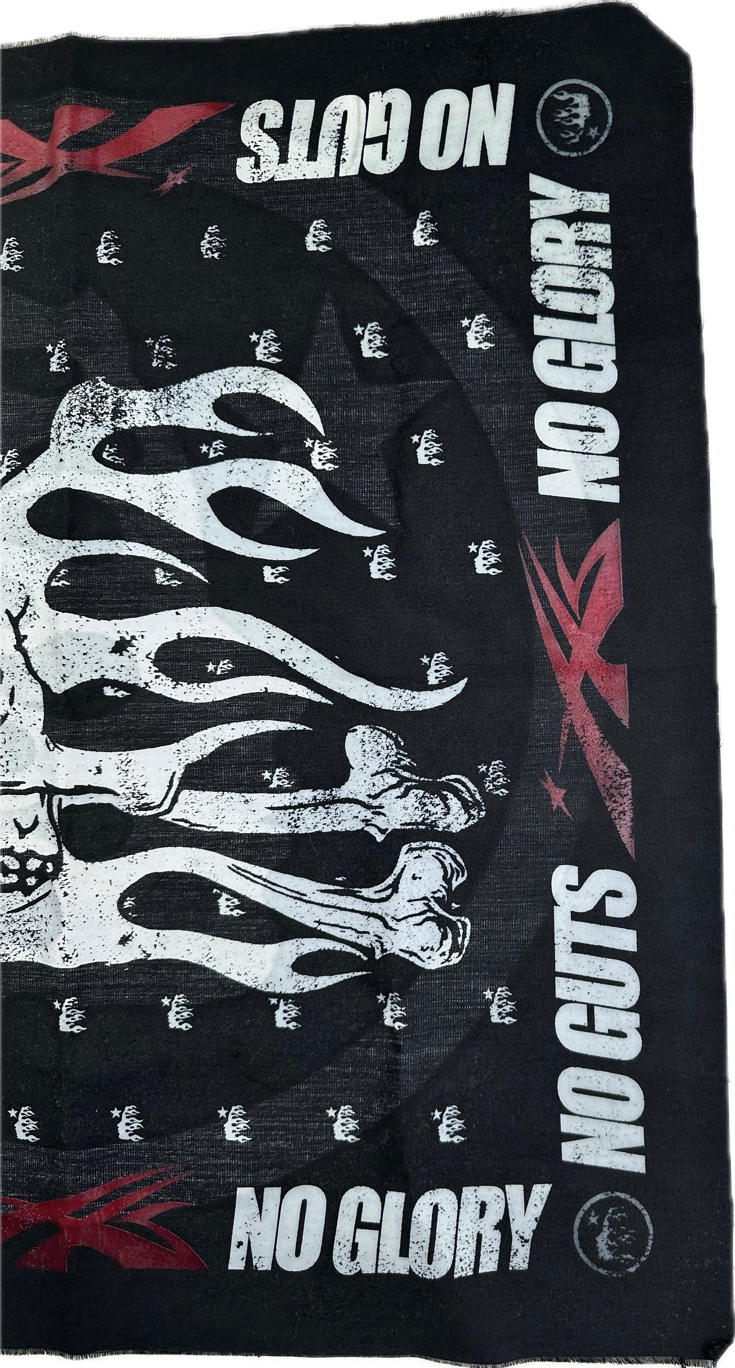 HS Sample Bandana