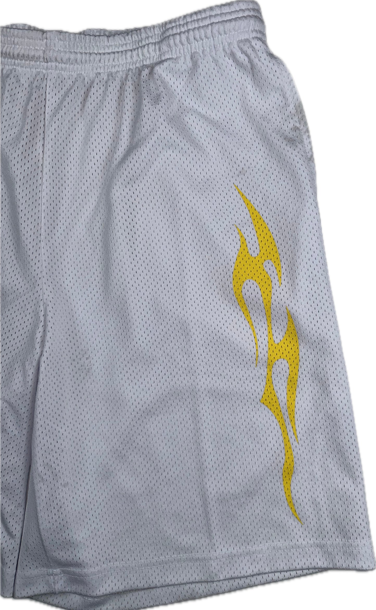 HS Sample Sports Mesh Shorts