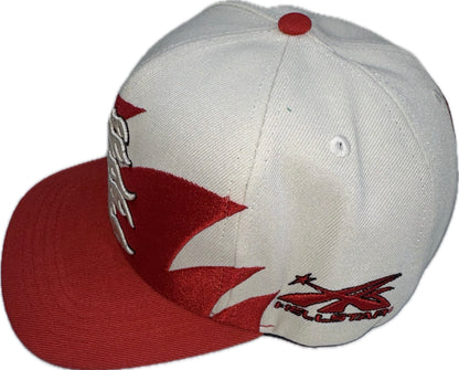 HS Shark Teeth SnapBack Hat