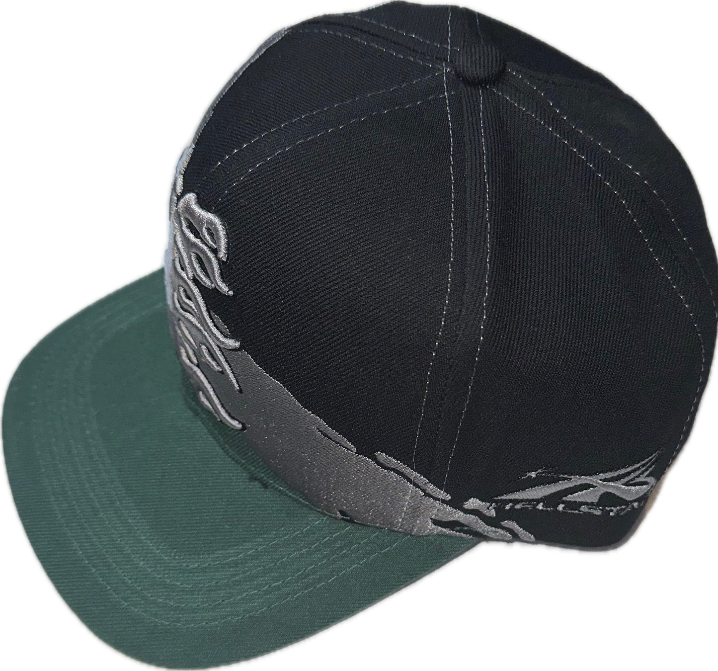 HS Paintbrush SnapBack Hat